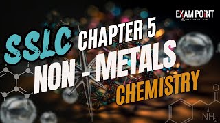 Class 10 Chemistry  Chapter 5 NonMetals  SCERT Syllabus [upl. by Onitsuaf]