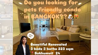 Top PetFriendly Residences in Bangkoks Sukhumvit [upl. by Culosio]