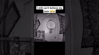 Unbelievable things caught on camera viralvideo foryou fyp viralshorts shorts shortvideo [upl. by Varden]