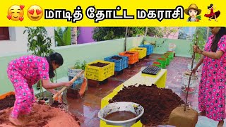 🥰😍மாடித் தோட்ட மகராசி👩🏻‍🌾💃🏻 Extended terrace garden 🌈🍋🍆🍅🌶🥦🥕 rajkarthi viral garden [upl. by Ahsinar962]