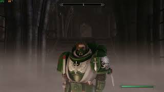 The Elder Scrolls V Skyrim SE  Warhammer 40k Primaris Sergeant [upl. by Leopold]