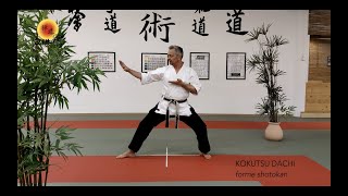 Déplacements en Kokutsu dachi [upl. by Nod]