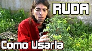 RUDA Planta Abortiva Medicinal y Mágica [upl. by Lleder727]