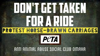 Protest HorseDrawn Carriages  PETA  Omaha Ne July 27th 2024 [upl. by Berke879]