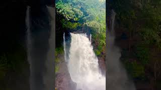 Harvalem waterfall 🌊viralindia trandingsong climateofindia trandingsong subcribemychannel [upl. by Holtz]