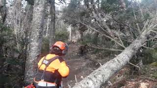 Storm Damage cleanup Chitticks Beach Trail New River Beach Provincial Park Lepreau New Brunswick [upl. by Kobe261]