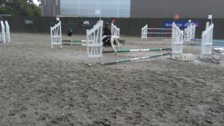 Championnat de Bretagne poney 2017 à sbe saint brieuc équitation [upl. by Eddina]