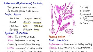 Family fabaceae  floral characters vegetative characters and economic importance  class 11 [upl. by Gebhardt]