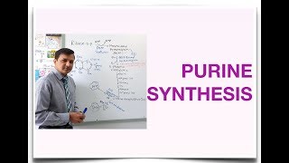 Purine Synthesis De Novo Purine Synthesis [upl. by Niai596]