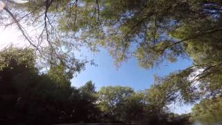 Loggers Leap  POV Video  Thorpe Park 2015 [upl. by Hyo461]