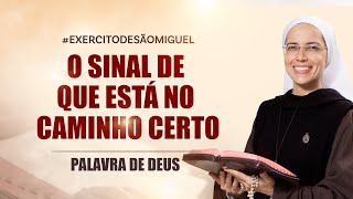 Palavra de Deus  Um sinal de que você está no caminho certo Lc 211219 Ir Maria Raquel 2911 [upl. by Dranyar372]