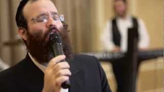 TAUSSIG 2 Official Music Video  Shloime Taussig  Sason Vsimcha Samba [upl. by Flita]