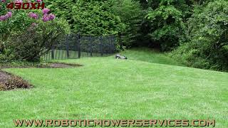 Husqvarna 430XH Automower Mowing A Lawn In Virginia 430X Automower [upl. by Mackey]