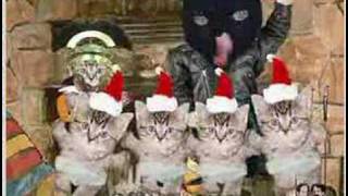 A Christmas Cat Song [upl. by Dyob]