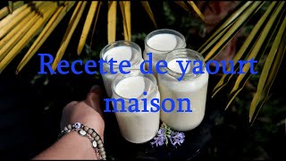 Recette Yaourt Maison avec yaourtière [upl. by Avalsorim]