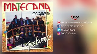 Gracias Amor  Matecaña Orquesta  Salsa [upl. by Neelia]