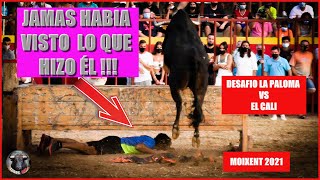 GANADERIA LA PALOMA VS GANADERIA EL CALI 😱😱▶️ TOROS TV [upl. by Neehcas328]