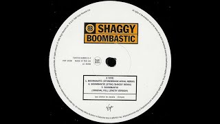 Shaggy  Mr Boombastic Original Full Length Version 1995 Rap [upl. by Gebler]