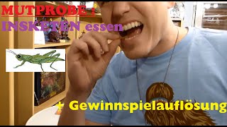 INSEKTEN ESSEN MUTPROBE  GEWINNSPIEL Auflösung [upl. by Wj]