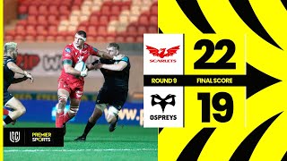 Scarlets vs Ospreys  Highlights from URC [upl. by Jankey]