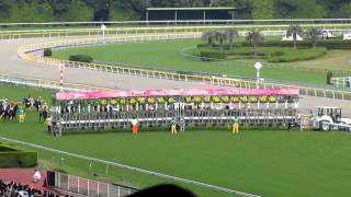 【競馬】2014525 第75回優駿牝馬（オークス）  75th The Yushun Himba Japanese Oaks [upl. by Yoho652]