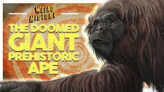 The Giant Prehistoric Ape Doomed By Its Own Coolness [upl. by Aramoiz822]