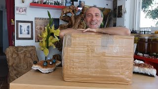 Crystal Box Opening by Healer Mark Bajerski  1 year in the making [upl. by Deny]