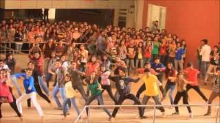 FLASHMOB 2014  VERVE 14 OVERHEAT [upl. by Ramoh]