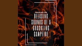 Calm Fireplaces Music [upl. by Blackman]