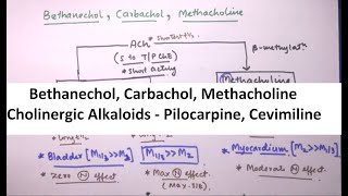 ANS part 4 Bethanechol Carbachol Methacholine and Alkaloids [upl. by Yenaffit]