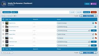 Media File Renamer 500 [upl. by Suelo]