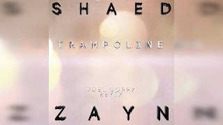 SHAED x ZAYN  Trampoline Joel Corry Remix [upl. by Corry455]