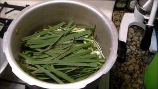 Oil Extraction from Herbs with DIY Kitchen Still [upl. by Sparkie696]