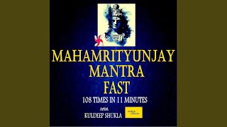 Mahamrityunjay Mantra Fast 108 Times in 11 Minutes [upl. by Sekoorb]