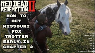 RDR2  How To Get Missouri Fox Trotter Early in Chapter 2 side mission Arcadia for Amateurs 3 [upl. by Dyal]