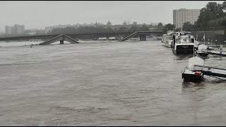 Hochwasser Dresden Elbe 16092024 [upl. by Callista22]