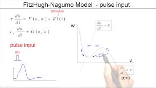 44b Firing threshold in 2D models [upl. by Oniluap]