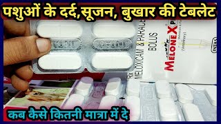 पशुओं के दर्दसूजनबुखार की टेबलेटAnalgesicAntipyreticAnti inflammatory Bolus use in Animals [upl. by Trammel]