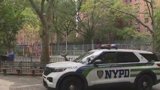 Man recounts NYC shooting ‘Thought I was going to die’ [upl. by Hedgcock636]