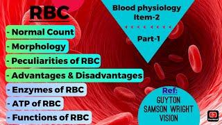 RBC Introduction Morphology Peculiarities  Blood physiology  item2 [upl. by Attemaj]