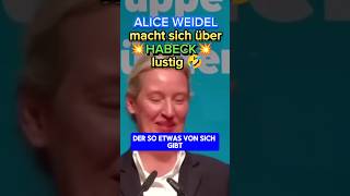 💥DARF man sich über DEN VIZEKANZLER so lustig machen 🤣💥 afd ampel habeck politik weidel bsw [upl. by Nylessoj]