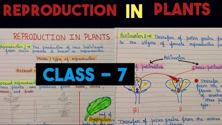 reproduction in plants class 7  reproduction in plants class 7 cbse [upl. by Buchalter]