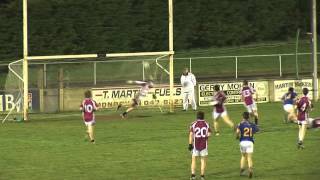 Cavan Joy in Rannafast Final [upl. by Adnwahsal]