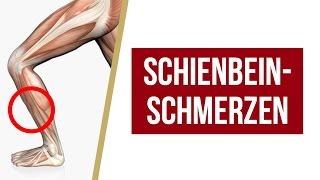 Schienbeinschmerzen  Übungen  Tipps von Liebscher amp Bracht  Faszienrolle Engpaassdehnungen [upl. by Llatsyrk]