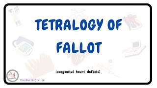 TETRALOGY OF FALLOT  Causes  Pathophysiology Diagnosis  Surgical Treatment  Nursing Management [upl. by Nayra242]