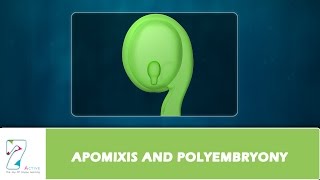 APOMIXIS AND POLYEMBRYONY [upl. by Ytirahc]