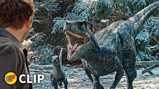 Beta Captured Scene  Jurassic World Dominion 2022 Movie Clip HD 4K [upl. by Giorgi]