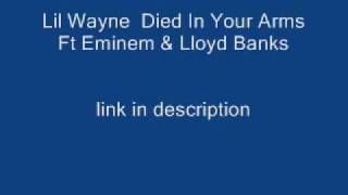 Lil Wayne Died In Your Arms Ft Eminem amp Lloyd Banks Remix [upl. by Web11]