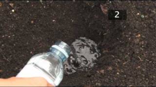 How To Test Soil PH [upl. by Mckee]