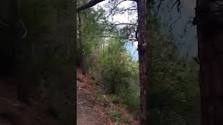 Trail 5 Islamabad Beautiful ❤️ View of Islamabad shortfeed youtubeshort shorts [upl. by Eselahs]